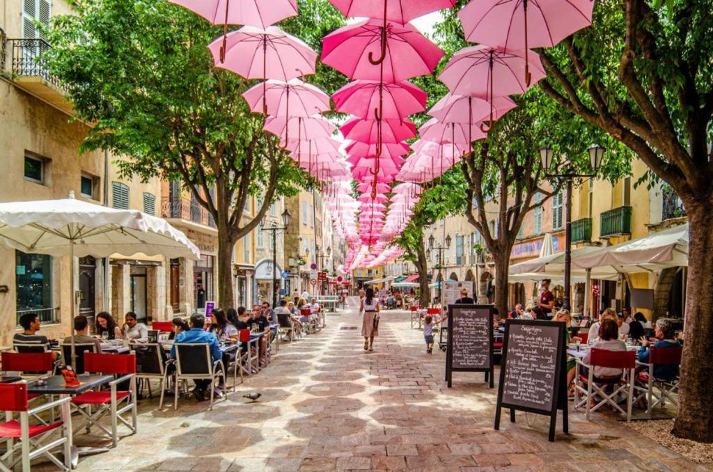 La Parenthese Au Coeur Des Palmiers, Sur Les Hauteurs De Apartamento Grasse